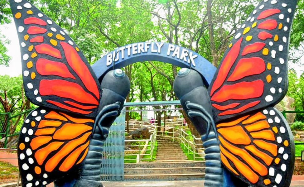 Butterflies Park