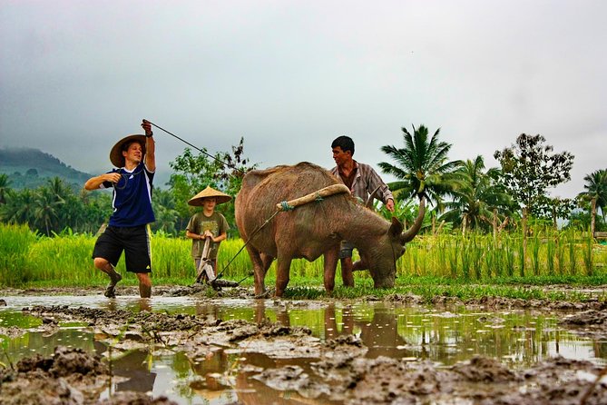 Rice Experience at Living Land Farm