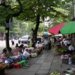 Visit the local markets