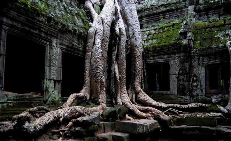 Siem Reap Short Tour