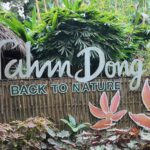 Nahm Dong Park – Back to nature