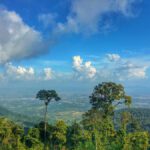 Bokor National Park