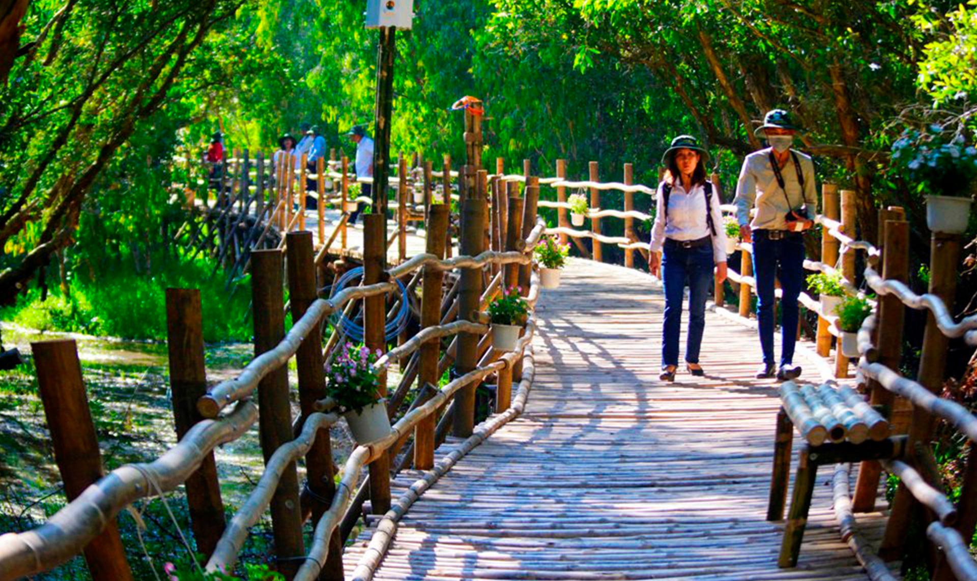 Bamboo Bridge