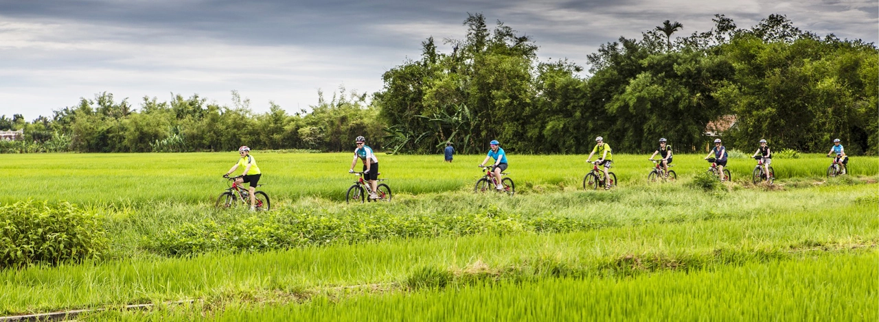 Bài viết (Copy)