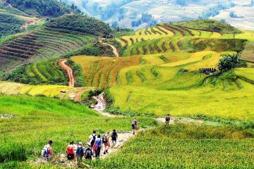 Vietnam Trekking Tours