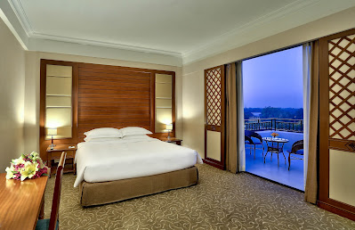 Executive King Room With Terrace And View