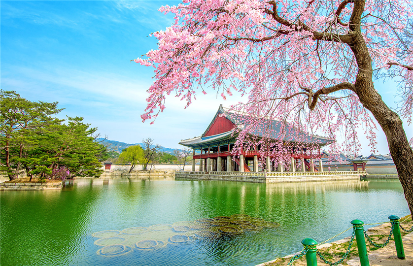 DU LỊCH HÀN QUỐC: SEOUL – NAMI – SEOUL GRAND PARK