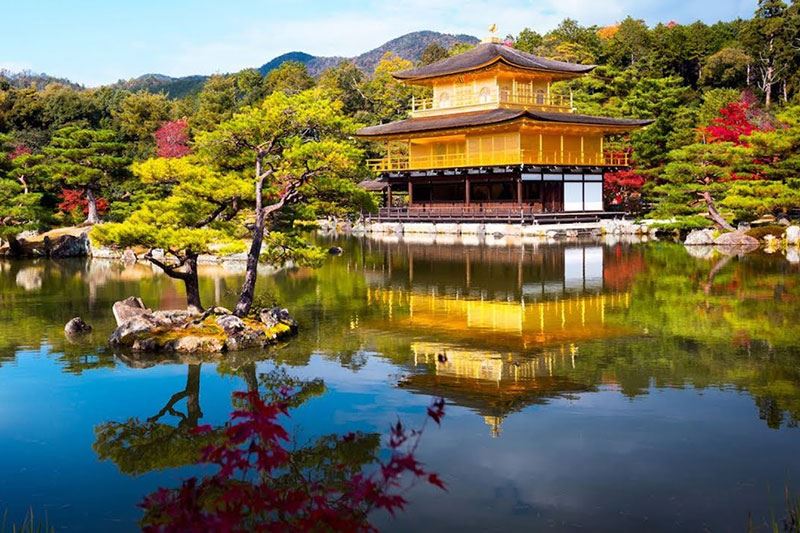 FLY TO JAPAN – MÙA HOA ANH ĐÀO NHẬT BẢN